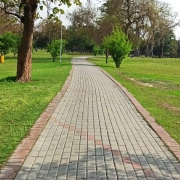 Jogging Track